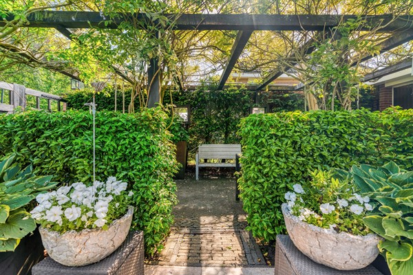 Medium property photo - Alexine Tinnepad 19, 2553 TR Den Haag